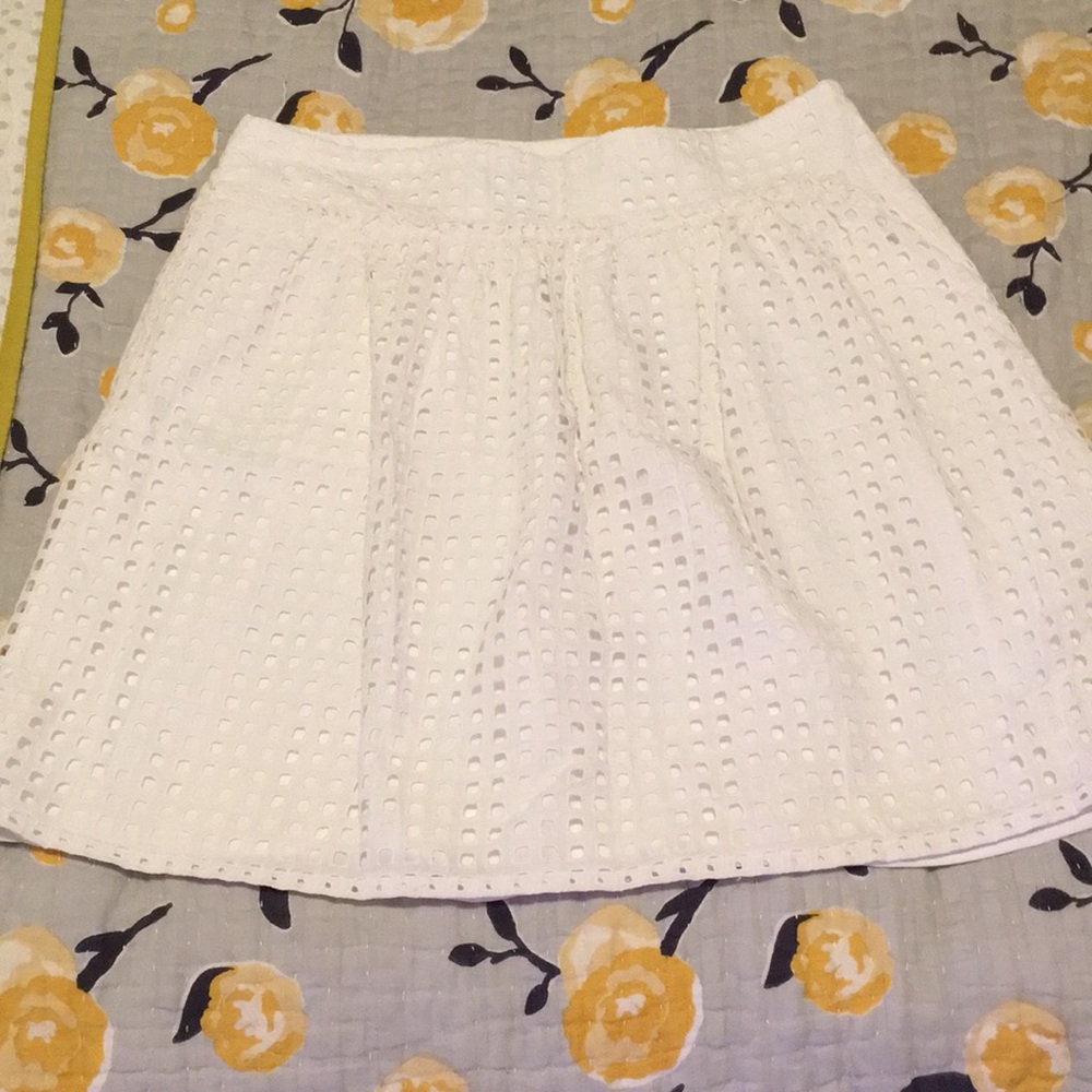 Ann Taylor skirt